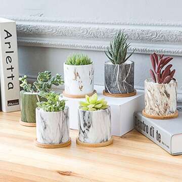 Succulent Plant Pots - Ceramic Cactus Planters with Trays