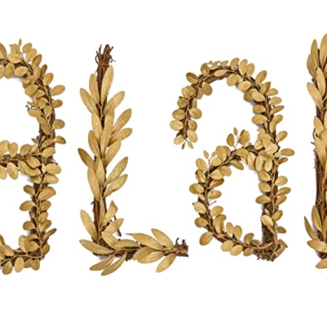 HGTV Home Collection Unlit FA La La Wall Decoration