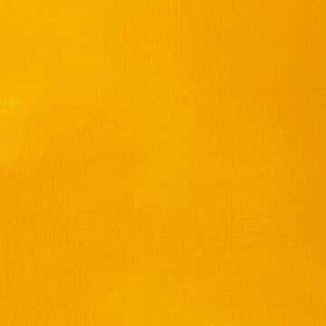 Liquitex BASICS Acrylic Paint 118ml Tube Cadmium Yellow