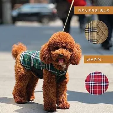Newbury Waterproof Reversible Dog Winter Coat