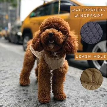 Newbury Waterproof Reversible Dog Winter Coat