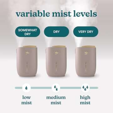 Homedics Natura Ultrasonic Warm & Cool Mist Humidifier, 1.3-Gal for Large Rooms, 60-Hr Runtime, Plant Holder, Programmable Humidity, Auto Shutoff, Nightlight Small Plant Compatible(Plant Not Included)