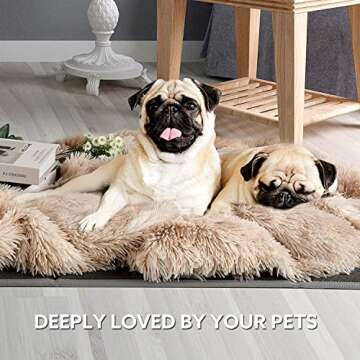 Lvylov Decorative Soft Fluffy Faux Fur Throw Blanket 50" x 60",Reversible Long Shaggy Cozy Furry Blanket,Comfy Microfiber Accent Chic Plush Fuzzy Blanket for Sofa/Couch/Bed,Breathable & Washable,Beige