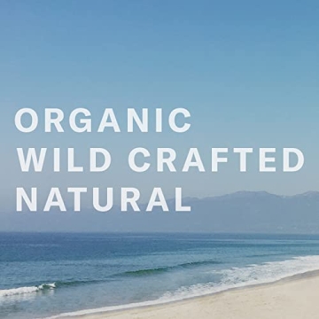 Chocolate Sun Organic Glow Medium Tanning Cream 8 oz