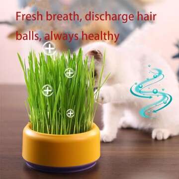 DEFUAUKE 2PCS Cat Grass Planter, Cat Grass Planter,Hydroponic Cat Grass Growing Kit,Without Seeds Add Water,Durable Abs,Large Water Storage (Dark Blue+Pale Blue)