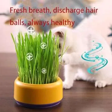 DEFUAUKE 2PCS Cat Grass Planter, Cat Grass Planter,Hydroponic Cat Grass Growing Kit,Without Seeds Add Water,Durable Abs,Large Water Storage (Dark Blue+Pale Blue)