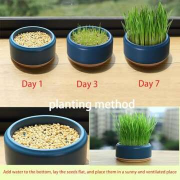 DEFUAUKE 2PCS Cat Grass Planter, Cat Grass Planter,Hydroponic Cat Grass Growing Kit,Without Seeds Add Water,Durable Abs,Large Water Storage (Dark Blue+Pale Blue)