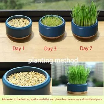 DEFUAUKE 2PCS Cat Grass Planter, Cat Grass Planter,Hydroponic Cat Grass Growing Kit,Without Seeds Add Water,Durable Abs,Large Water Storage (Dark Blue+Pale Blue)