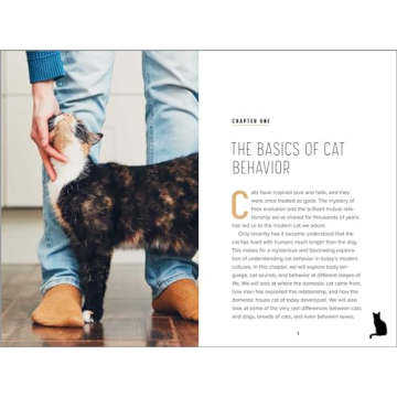 Understanding Cat Behavior Guide for Pet Owners