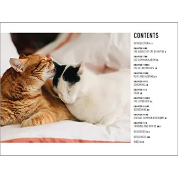 Understanding Cat Behavior Guide for Pet Owners