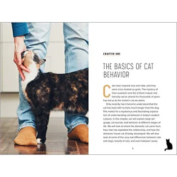 Understanding Cat Behavior Guide for Pet Owners
