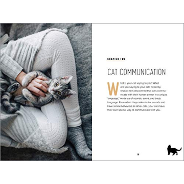 Understanding Cat Behavior Guide for Pet Owners