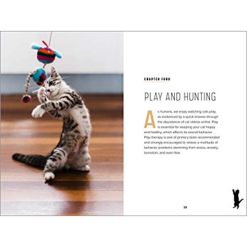 Understanding Cat Behavior Guide for Pet Owners