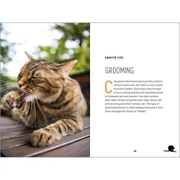 Understanding Cat Behavior Guide for Pet Owners