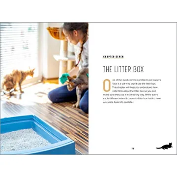 Understanding Cat Behavior Guide for Pet Owners