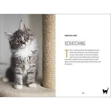 Understanding Cat Behavior Guide for Pet Owners