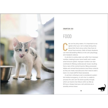 Understanding Cat Behavior Guide for Pet Owners