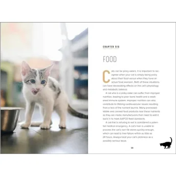 Understanding Cat Behavior Guide for Pet Owners