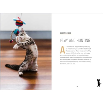 Understanding Cat Behavior Guide for Pet Owners