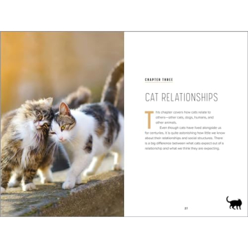 Understanding Cat Behavior Guide for Pet Owners