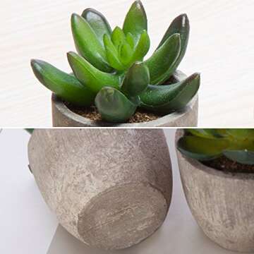 Jelofly Faux Succulent Plant Set - Realistic Home Decor