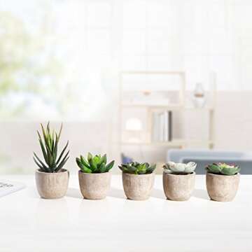 Jelofly Faux Succulent Plant Set - Realistic Home Decor