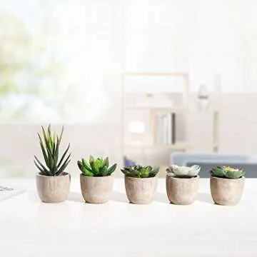 Jelofly Faux Succulent Plant Set - Realistic Home Decor