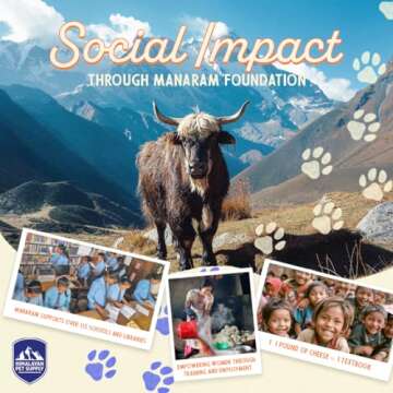 Himalayan Dog Chew Original Yak Cheese Dog Chew, Bacon, 1 X-Large Stick, 5.3 oz, Gluten Free, Healthy Dog Treats, Grain & Lactose Free 100% Natural, Long Lasting Dog Chews for Dogs Over 55 lbs