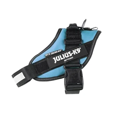Julius-K9 IDC Powerharness in Aquamarine for Your Pet
