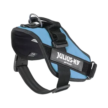 Julius-K9 IDC Powerharness in Aquamarine for Your Pet