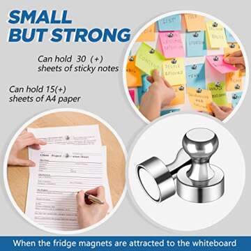 LOVIMAG 12Pcs Fridge Magnets Push Pins, Refrigerator Magnets for Kitchen,Fridge Magnets Adult, Small Push Pin Magnets for Whiteboard, Fridge, Office, Classroom and Map Magnets
