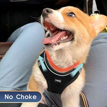 YIMEIS Dog Harness and Leash Set, No Pull Soft Mesh Pet Harness, Reflective Adjustable Puppy Vest fo...