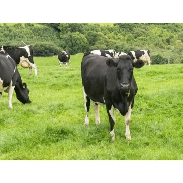 Momentous Grass-Fed Whey Protein Powder for Optimal Recovery