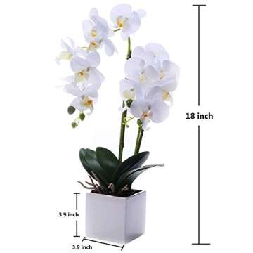 GXLMII Artificial Orchids Flowers with Vase for Table Centerpieces, Faux Orchid Orquideas Fake Real Touch Large Vivid Phalaenopsis White Plant Indoor Room Decoration