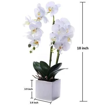 GXLMII Artificial Orchids Flowers with Vase for Table Centerpieces, Faux Orchid Orquideas Fake Real Touch Large Vivid Phalaenopsis White Plant Indoor Room Decoration