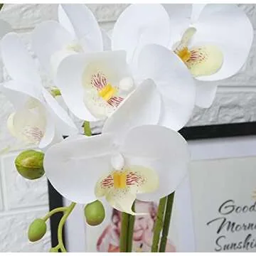 GXLMII Artificial Orchids Flowers with Vase for Table Centerpieces, Faux Orchid Orquideas Fake Real Touch Large Vivid Phalaenopsis White Plant Indoor Room Decoration