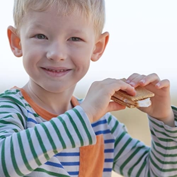 Indoor Electric S'mores Maker with Compartment Tray and Sticks
