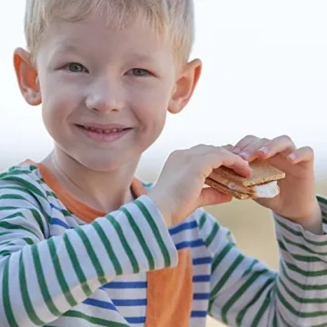 Indoor Electric S'mores Maker with Compartment Tray and Sticks