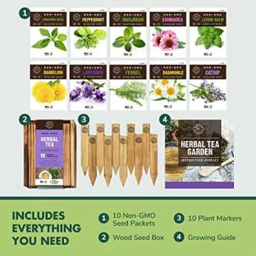 Herb Garden Seeds for Planting in Wood Box - Tea Gifts