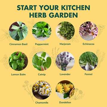 Herb Garden Seeds for Planting in Wood Box - Tea Gifts