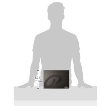 Rembrandt 30-Piece Soft Pastel Set for Vibrant Artistry