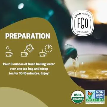 FGO Organic Ginger Tea - 100 Eco-Conscious Bags