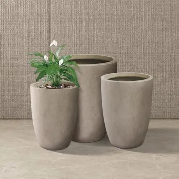 Kante Modern Decorative Concrete Planters Set of 3