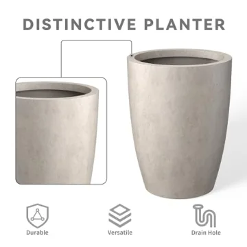 Kante Modern Decorative Concrete Planters Set of 3