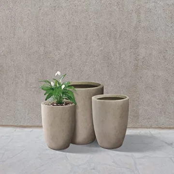 Kante Modern Decorative Concrete Planters Set of 3