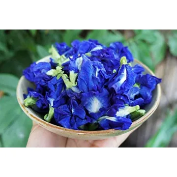 Buy Premium Blue Butterfly Pea Tea Organic 1.6oz