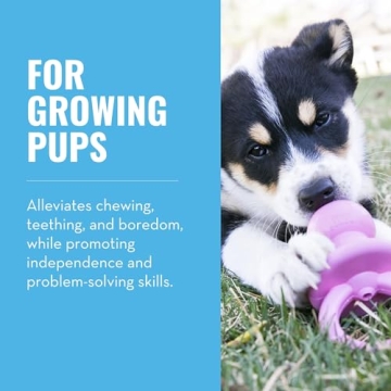 KONG Puppy Binkie - Durable Pacifier Dog Toy for Puppies