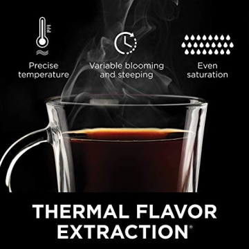 Ninja Hot and Cold Brew System for Coffee & Tea