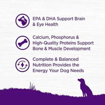 Wellness Complete Health Dry Puppy Food - Chicken & Salmon 15lbs