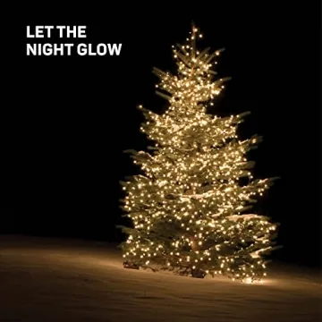 100 Warm White Christmas String Lights for Festive Décor